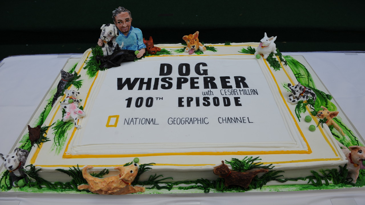 http://media.natgeotv.com/Shows/16871.jpg