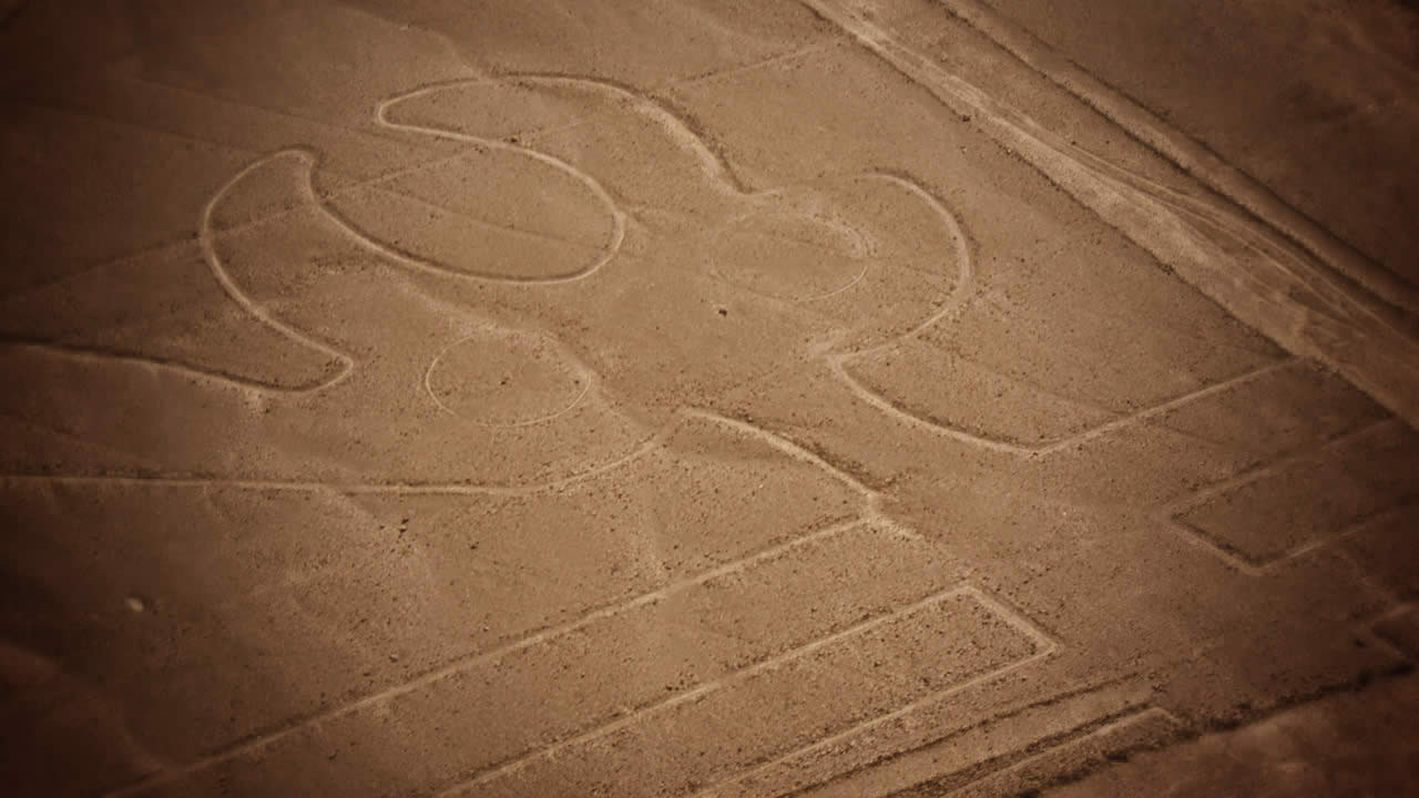 http://media.natgeotv.com/Shows/1698.jpg