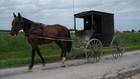 Inside Amish: Out Of Order