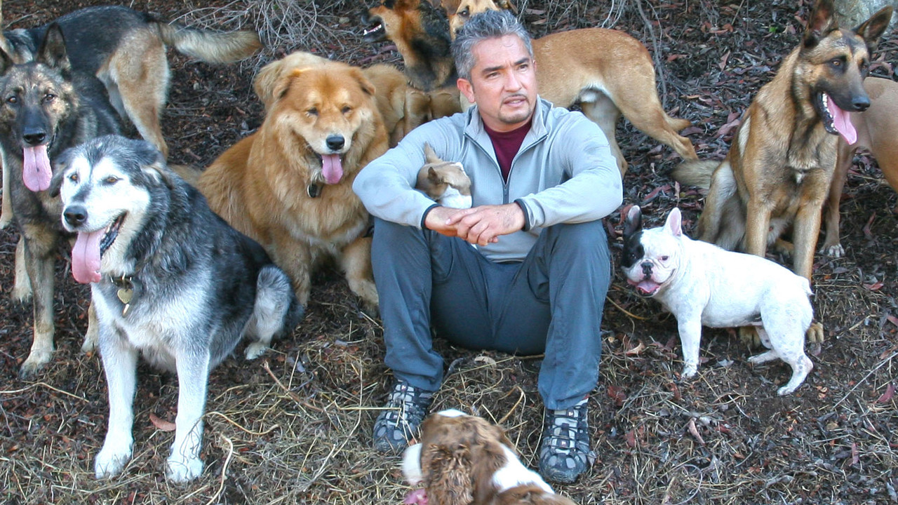 http://media.natgeotv.com/Shows/17085.jpg