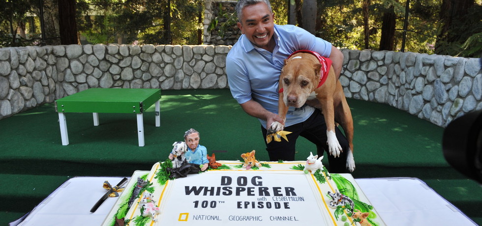 金牌馴狗師 Dog Whisperer