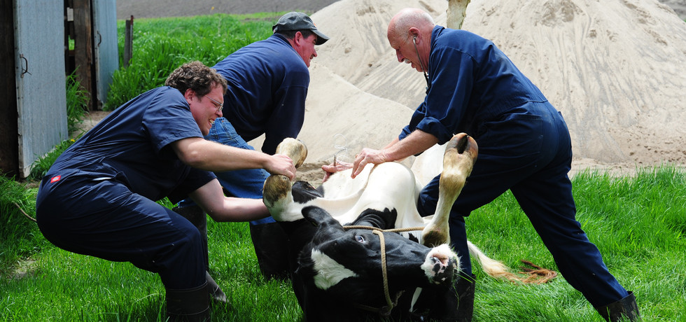 The Incredible Dr. Pol