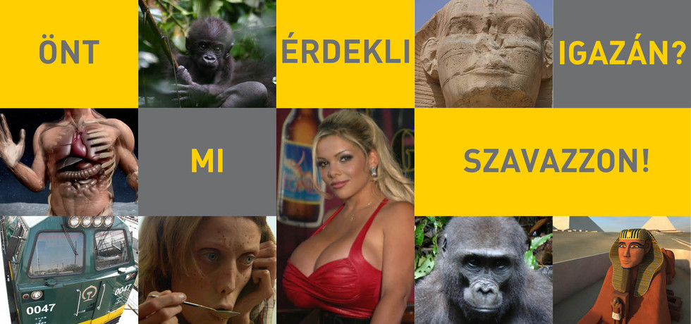 Filmválasztó