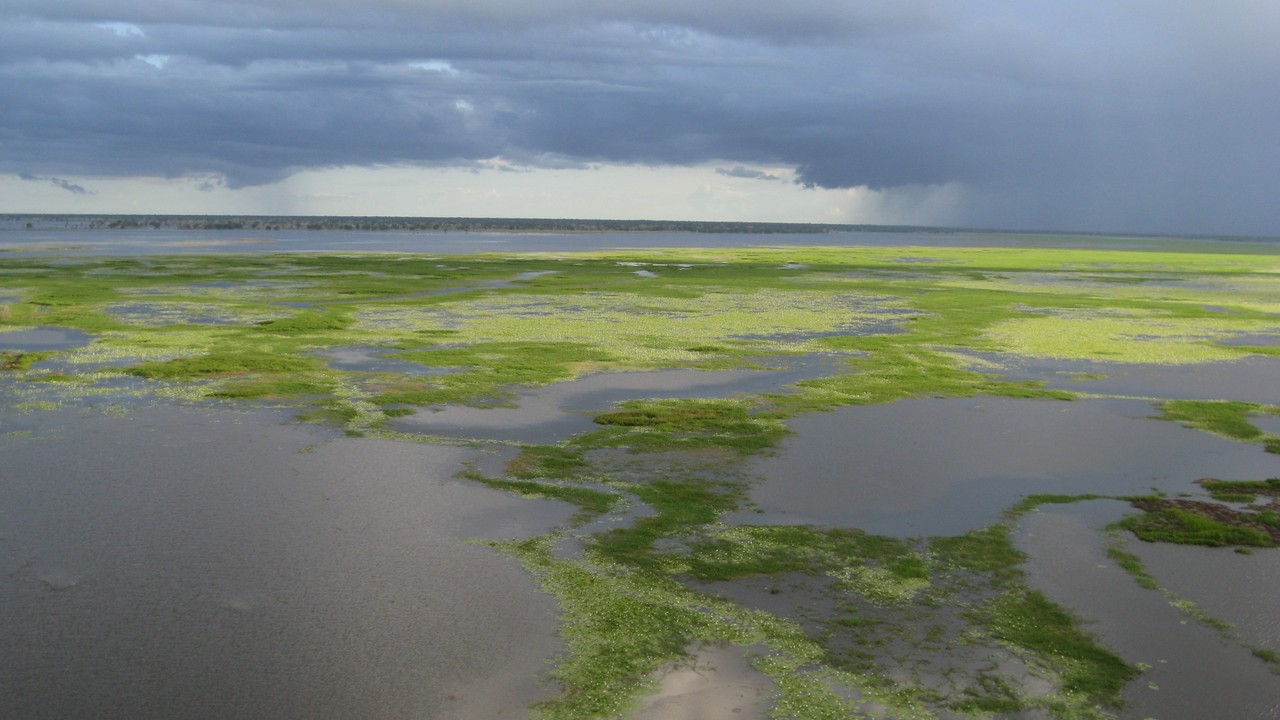 http://media.natgeotv.com/Shows/1776.jpg