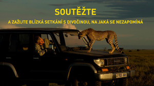 Zdivočte s Nat Geo Wild pořad