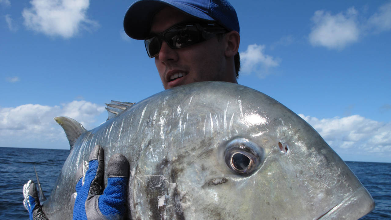 http://media.natgeotv.com/Shows/1787.jpg