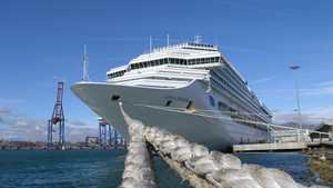 Cruise Ship Diaries show