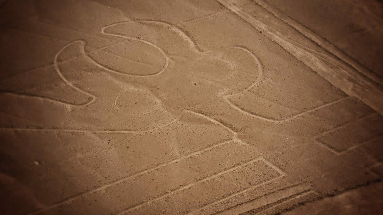 http://media.natgeotv.com/Shows/1859.jpg