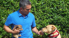 Dog Whisperer con Cesar Millan programma