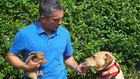 Dog Whisperer con Cesar Millan