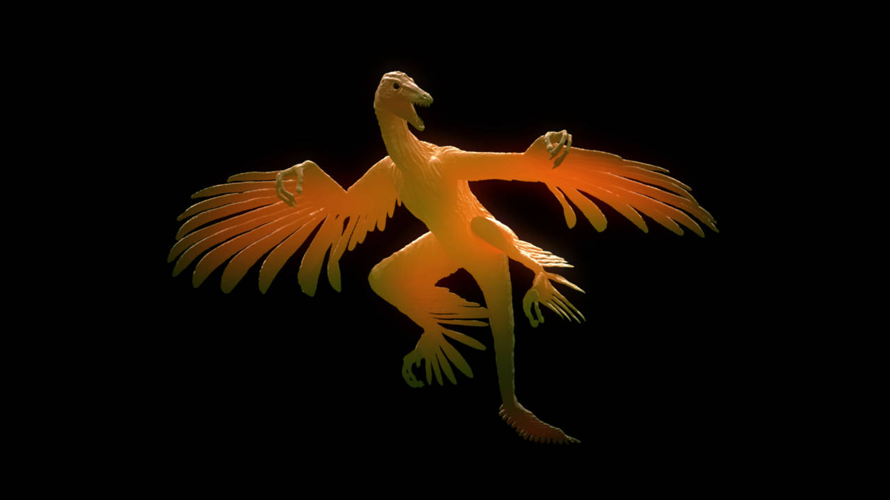 http://media.natgeotv.com/Shows/217.jpg