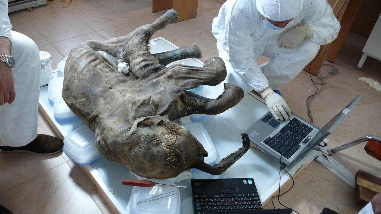 http://media.natgeotv.com/Shows/256.jpg