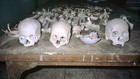 Riddles of the Dead: Plague Hunters