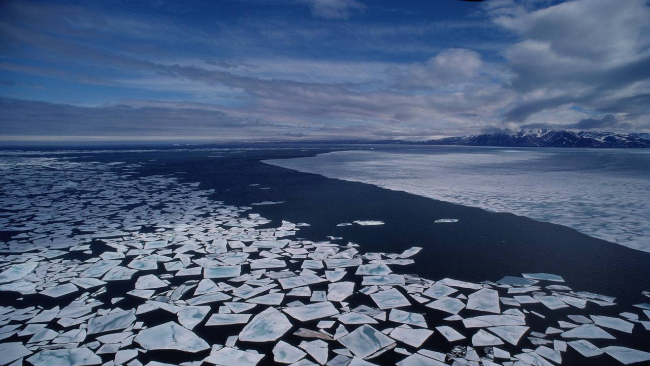 http://media.natgeotv.com/Shows/259.jpg