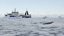 Expédition en Antarctique Voir la fiche programme