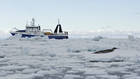 Expedition Antarctica