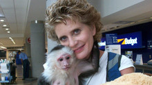 My Child Is A Monkey show