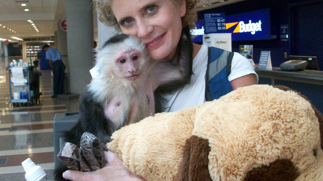 http://media.natgeotv.com/Shows/2974.jpg
