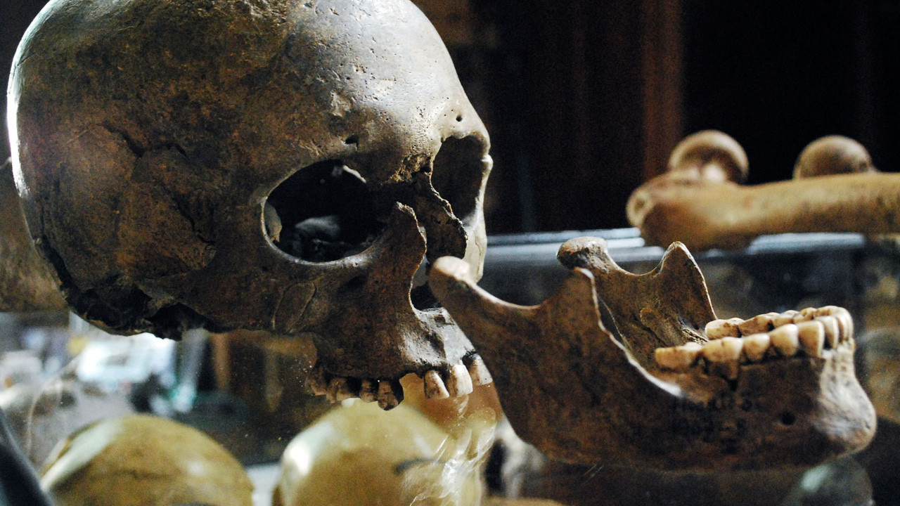http://media.natgeotv.com/Shows/3046.jpg