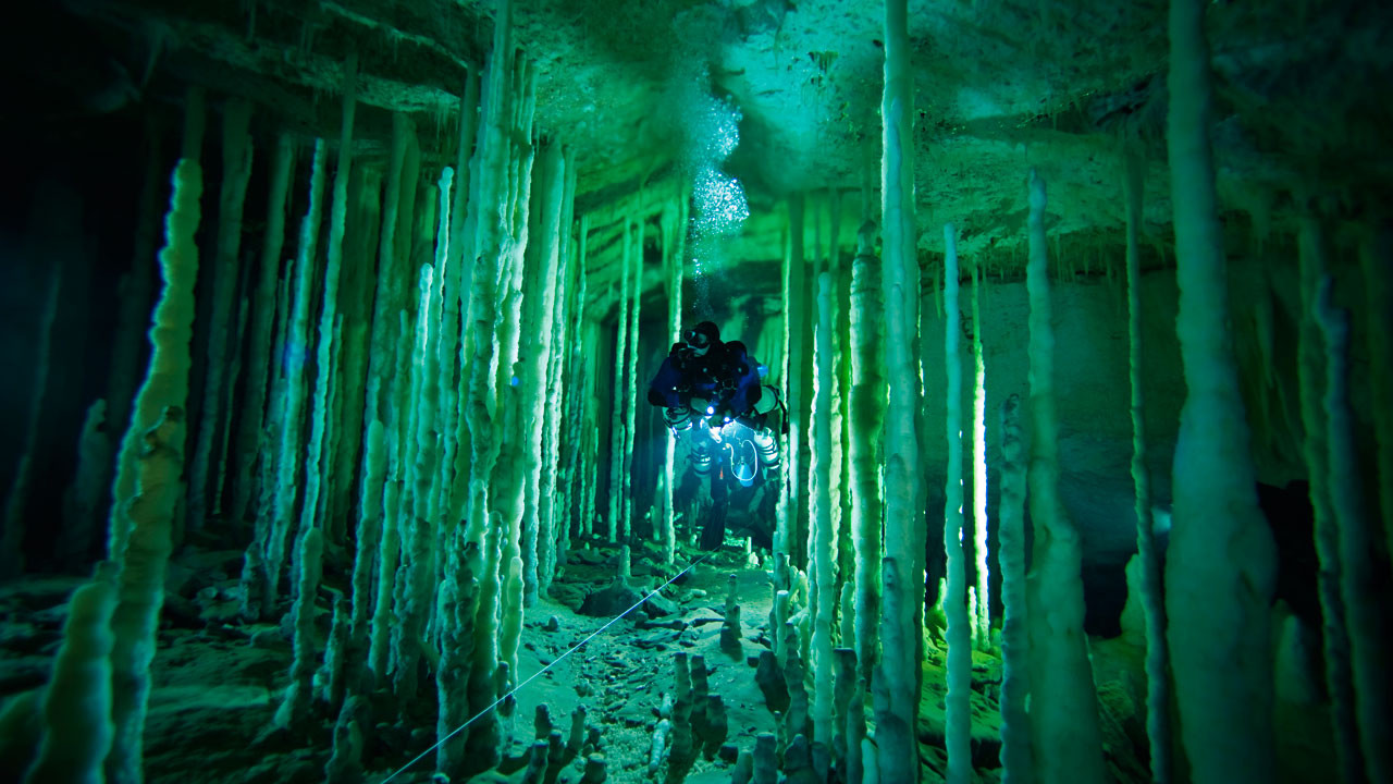 http://media.natgeotv.com/Shows/3179.jpg