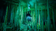 Plongee : le labyrinthe des Bahamas Voir la fiche programme