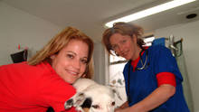 Enastående veterinärer show