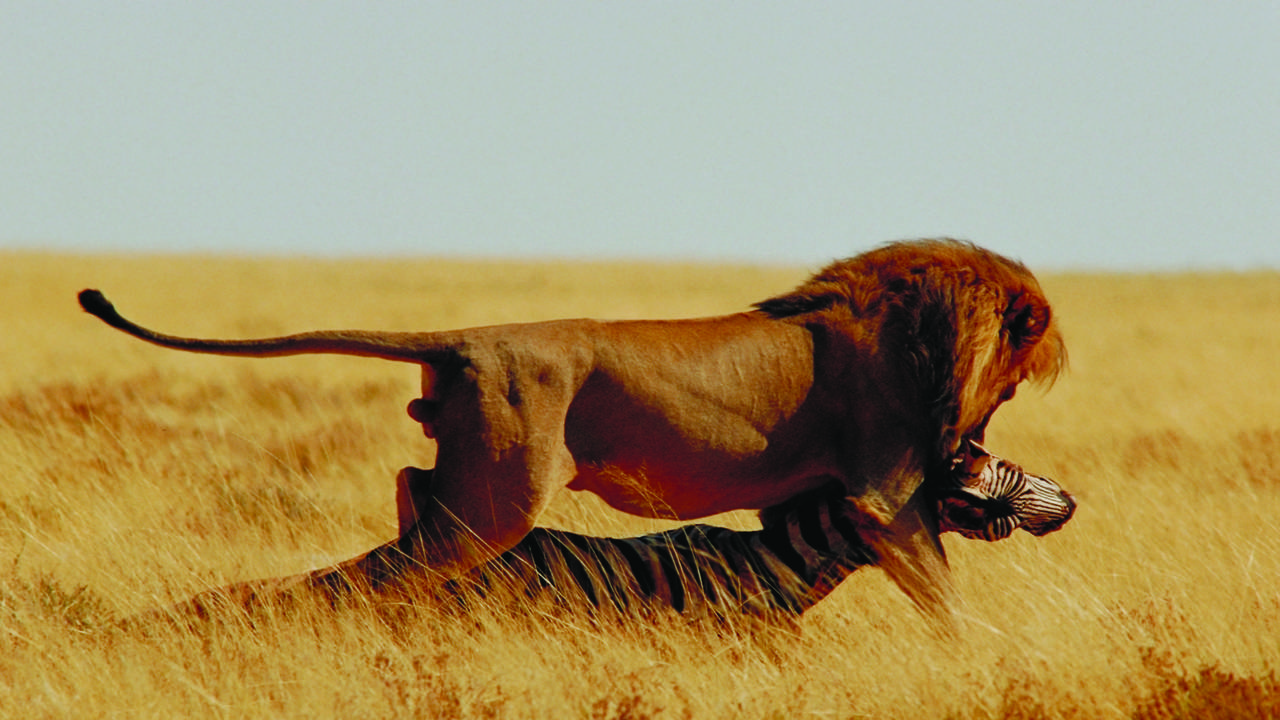 http://media.natgeotv.com/Shows/367.jpg