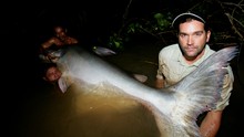 Monster Fish show