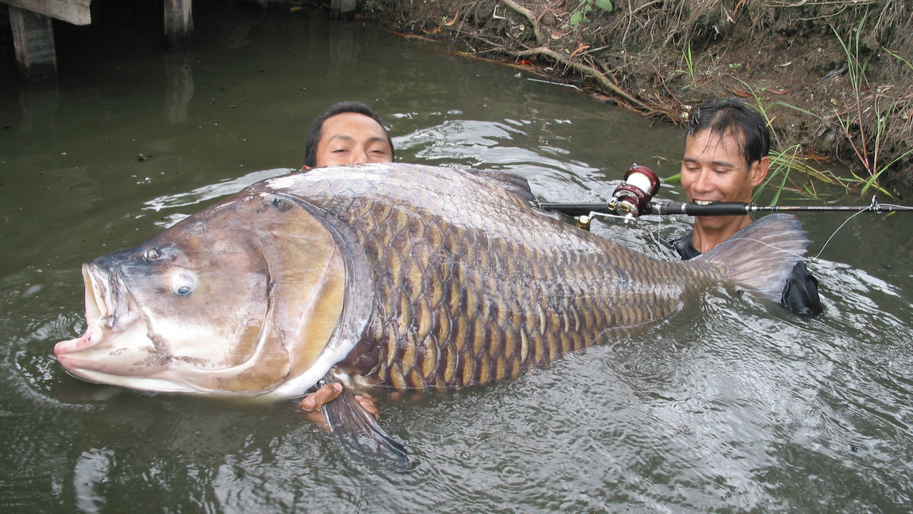http://media.natgeotv.com/Shows/4140.jpg