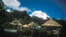 Cesta do Amazonie pořad