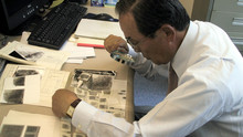 Interpol Voir la fiche programme