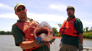 Hooked: Monster Fishing show