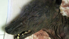 Természetfeletti