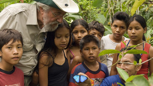 Ifjabb Cousteau kalandjai II film