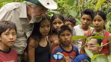 Ifjabb Cousteau kalandjai II film