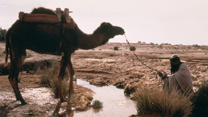 En kveld i Egypt Program