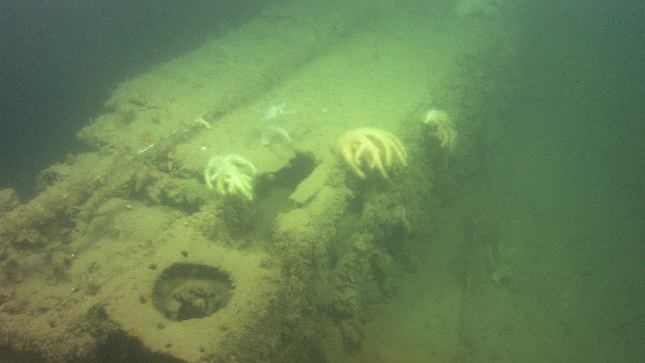 http://media.natgeotv.com/Shows/5705.jpg