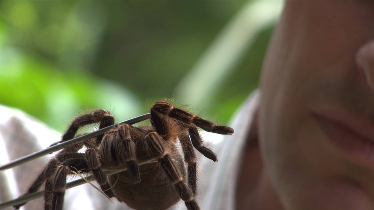 http://media.natgeotv.com/Shows/571.jpg