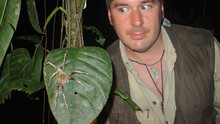 Deep Jungle show