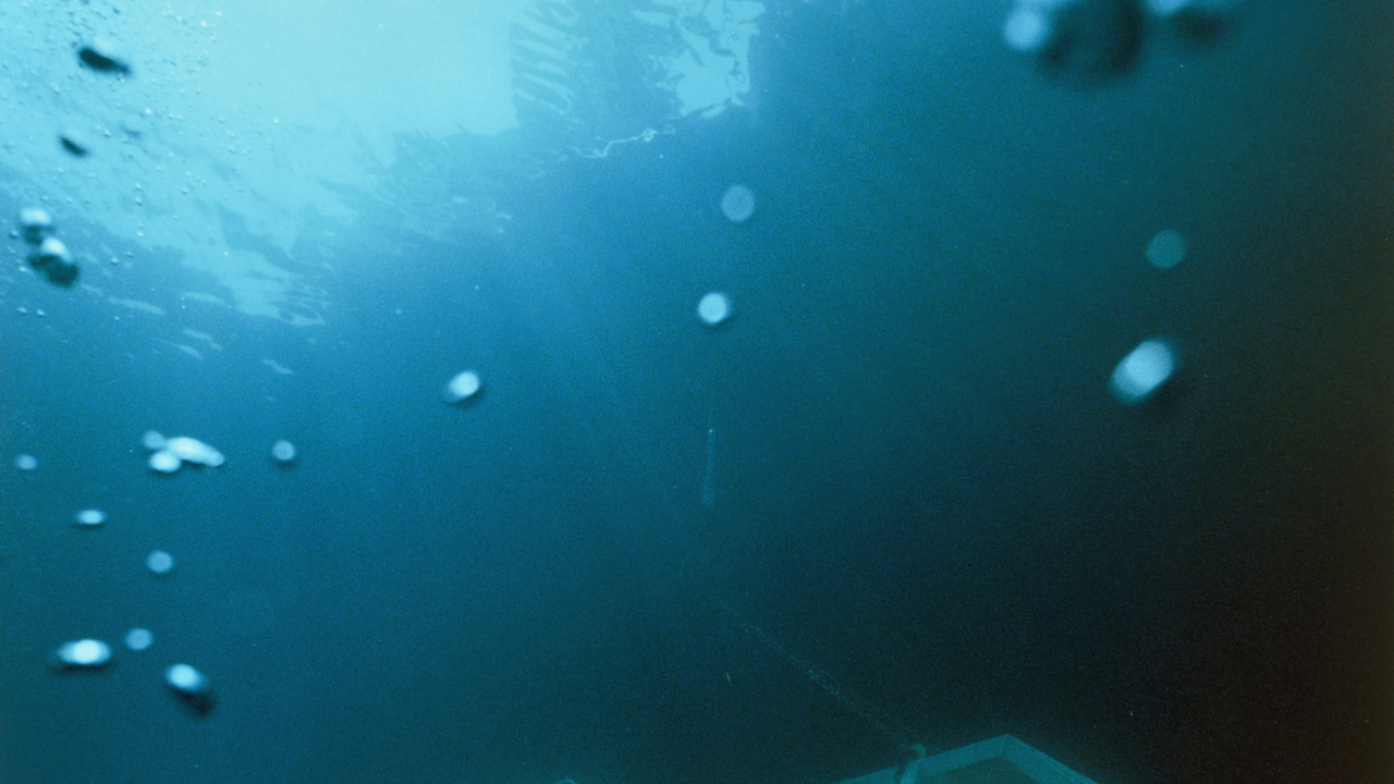 http://media.natgeotv.com/Shows/6040.jpg
