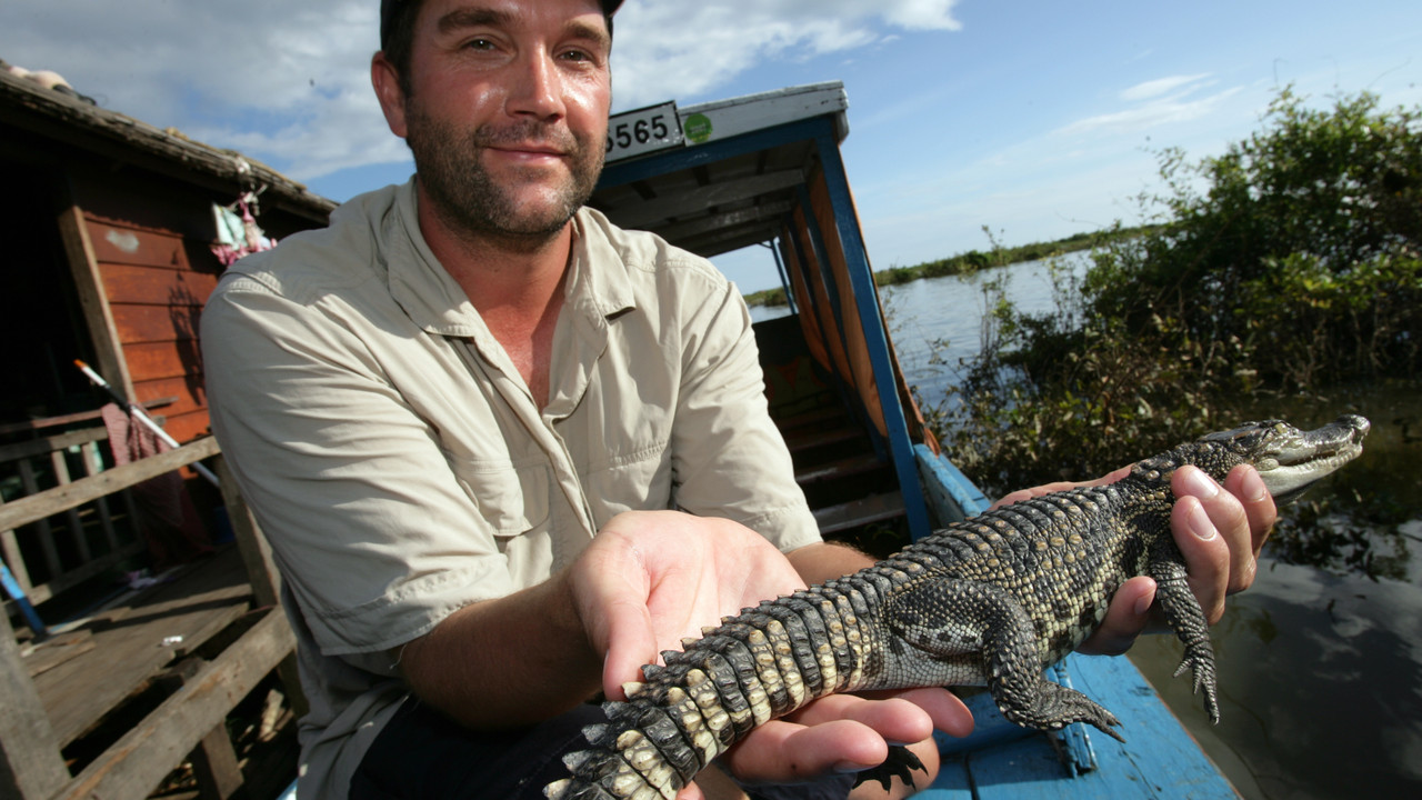 http://media.natgeotv.com/Shows/6499.jpg