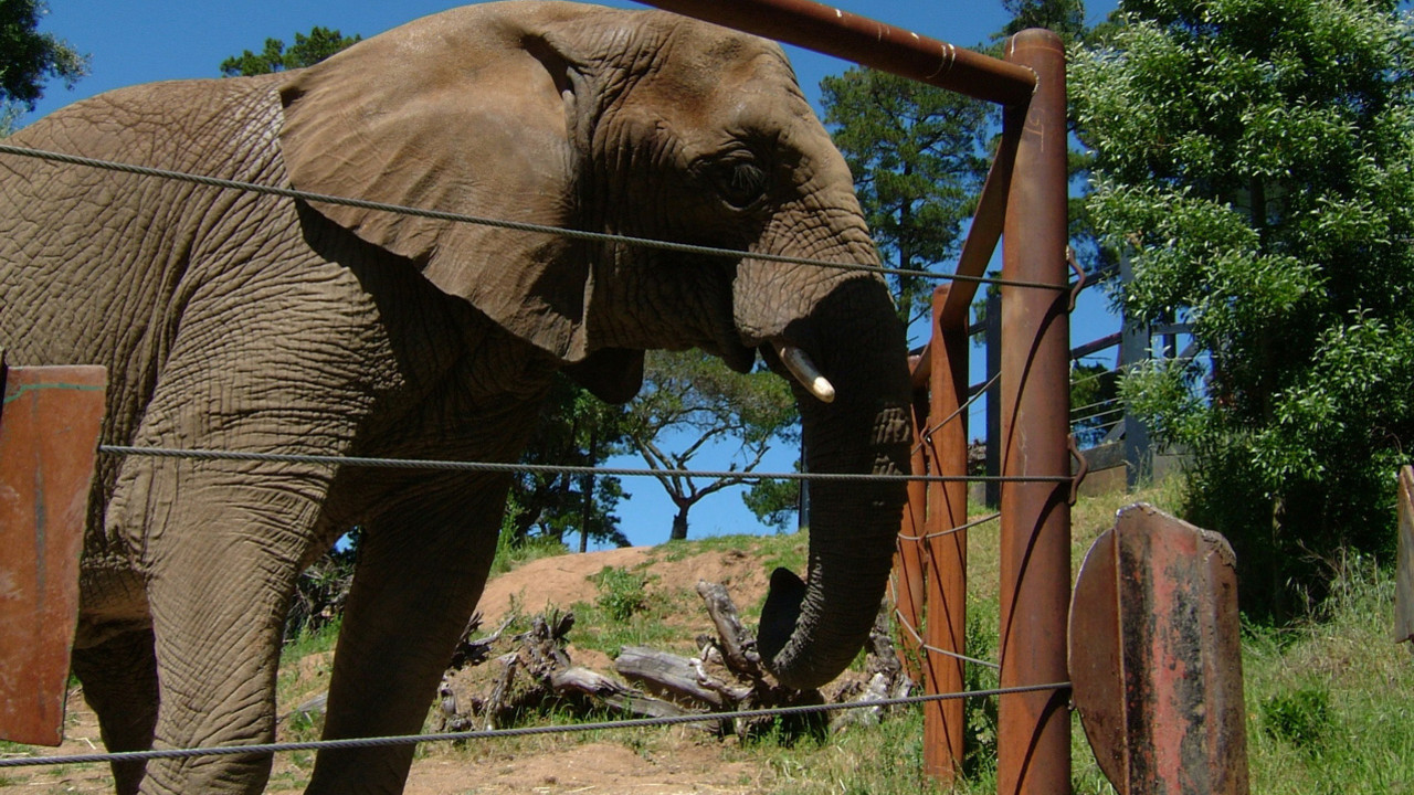 http://media.natgeotv.com/Shows/6518.jpg