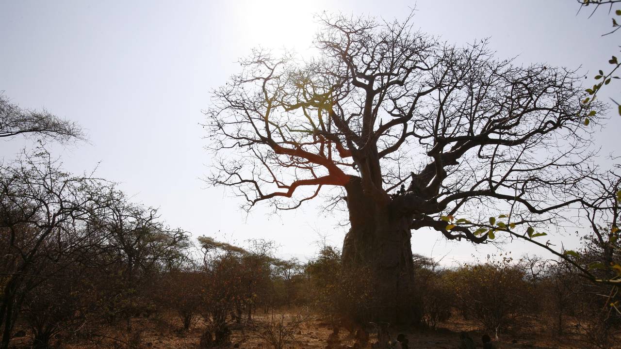 http://media.natgeotv.com/Shows/680.jpg
