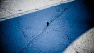 فقد في الصين برنامج