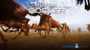 Büyük Göçler Sayfaya Git