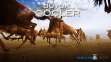 Büyük Göçler Sayfaya Git