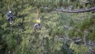 紅杉林大觀 Redwoods: Anatomy Of A Giant