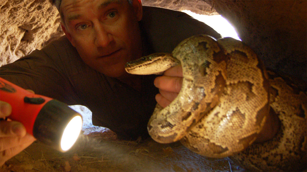 http://media.natgeotv.com/Shows/924.jpg