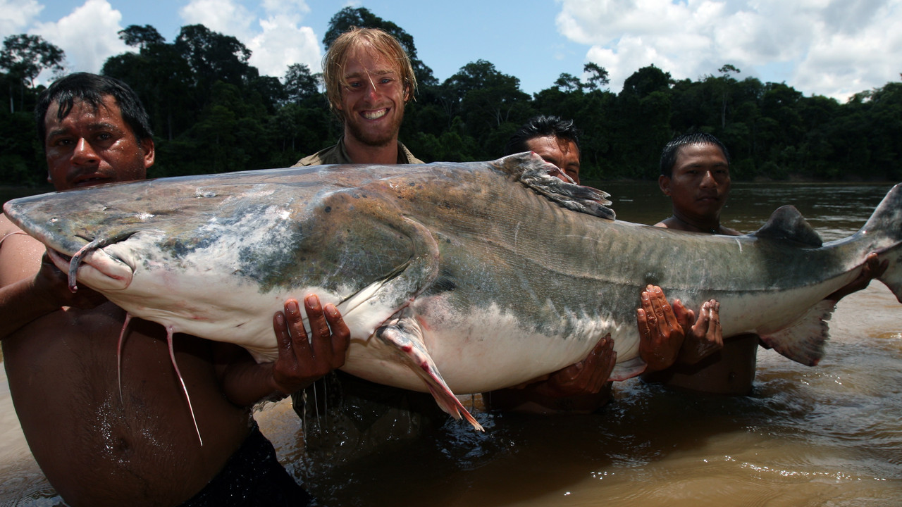 http://media.natgeotv.com/Shows/9348.jpg