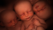 子宮內日記: 多胞胎 In The Womb:Twins,Triplets & Quads show